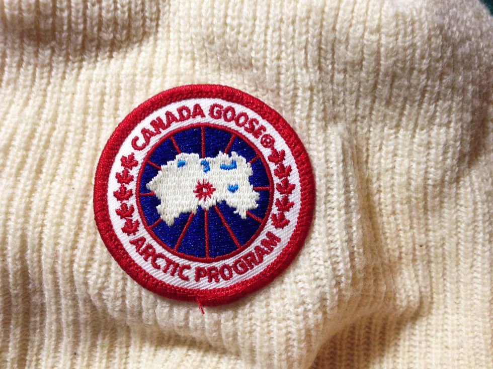 If You're Wearing Canada Goose Apparel, Please Stop