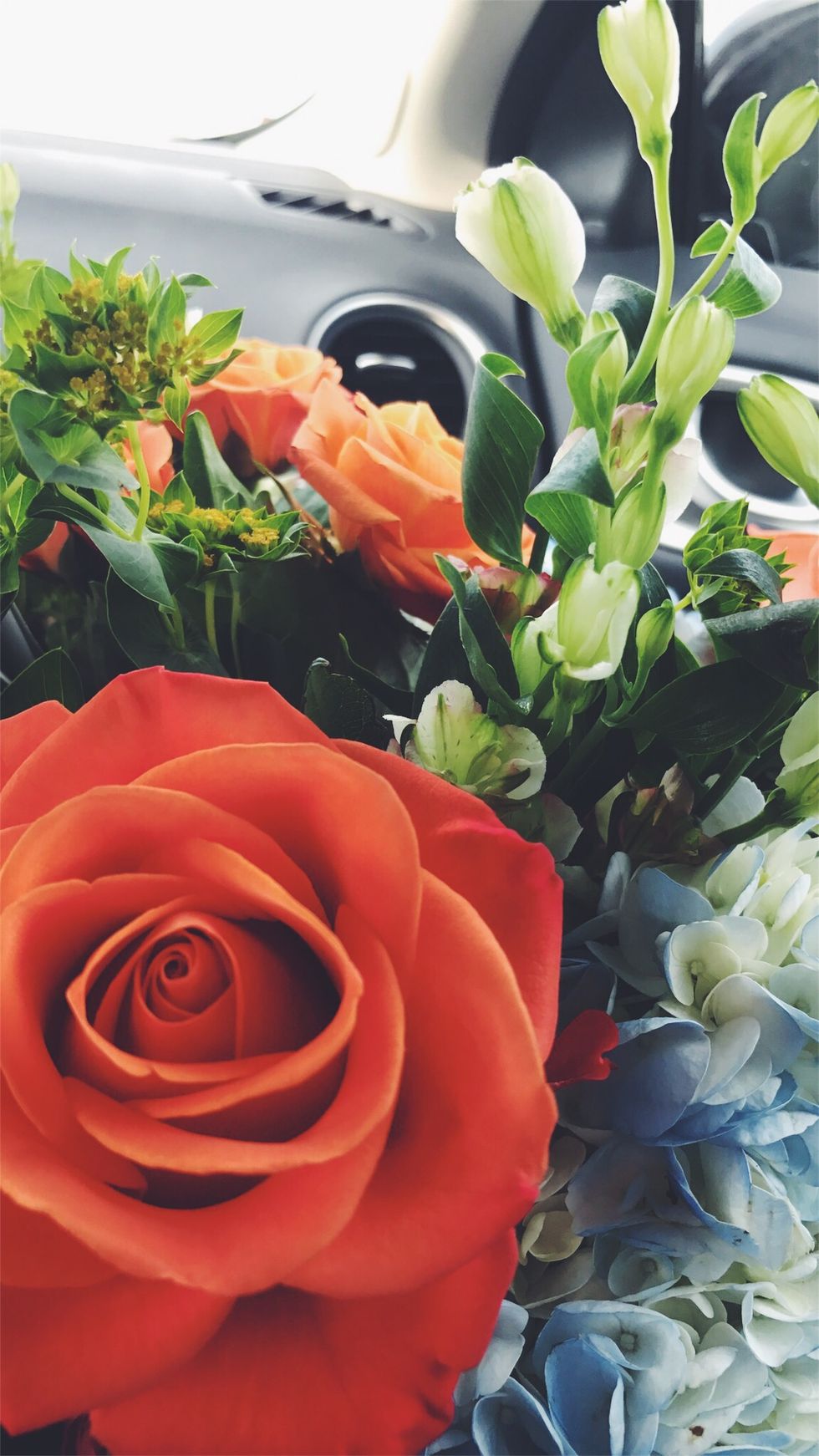 5 Things You Think If You're Single on Valentine's Day