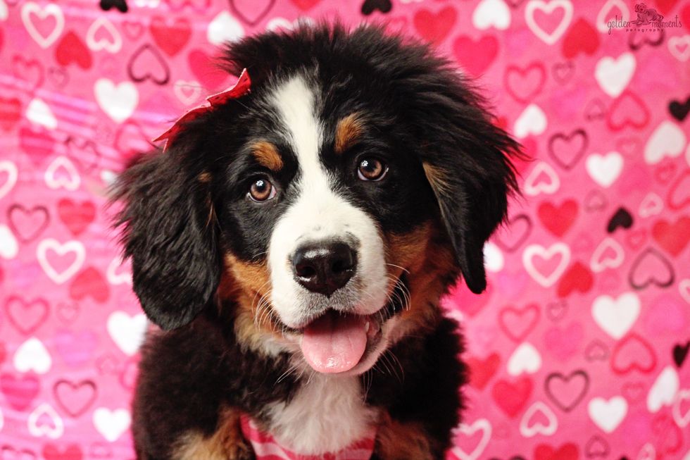 6 New Names For Valentine's Day So That We Can Celebrate The Right Way.