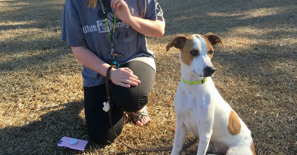 How Dorm-Dwellers Just Like Us Can Foster A Dog For A Day