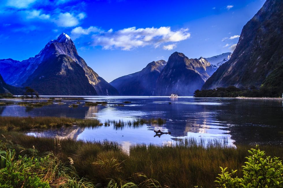 My Dream Is To Travel To New Zealand And Experience The Wildlife There