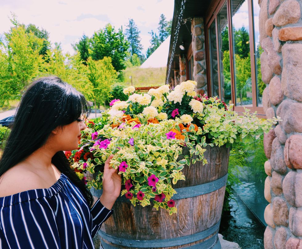 Using GMOs In Agriculture Is Necessary, Not Harmful