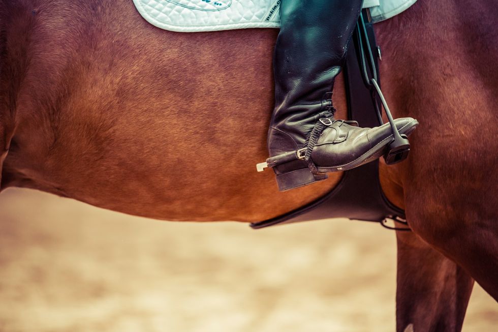 10 Necessities All Equestrians Should Have In Their Ring-Side Backpacks