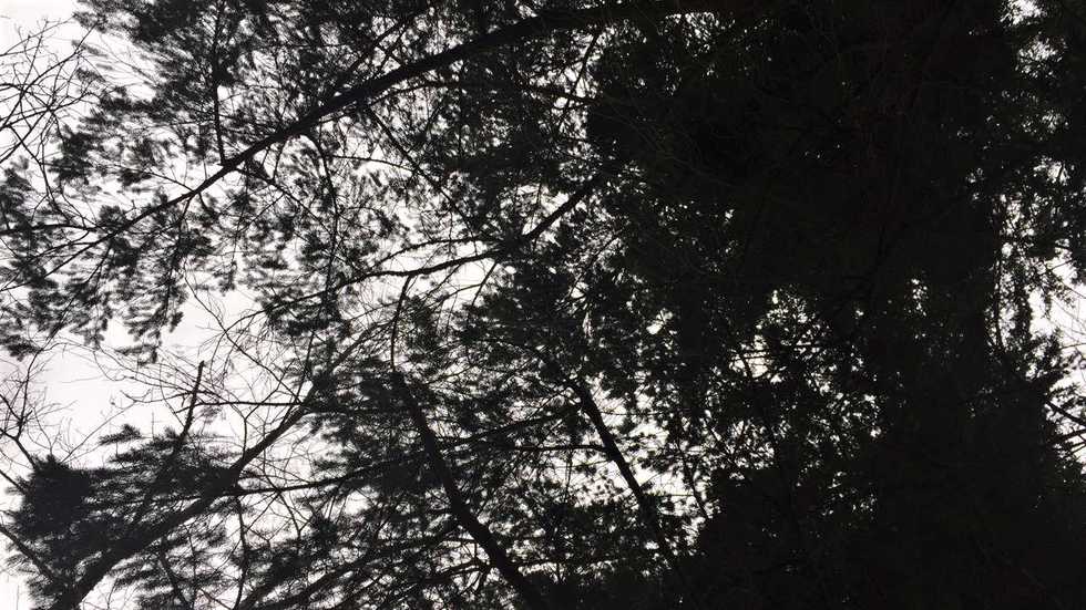 4 Things Every Tourist Should Do In Redmond, Washington