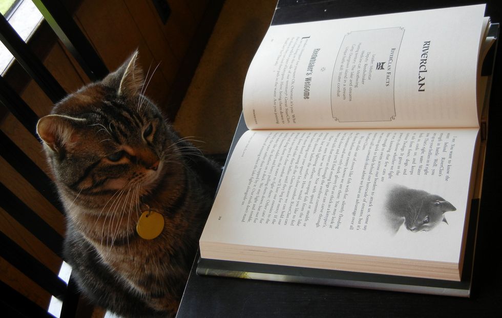 Why Fanfiction Is Possibly One Of The Best Things Ever