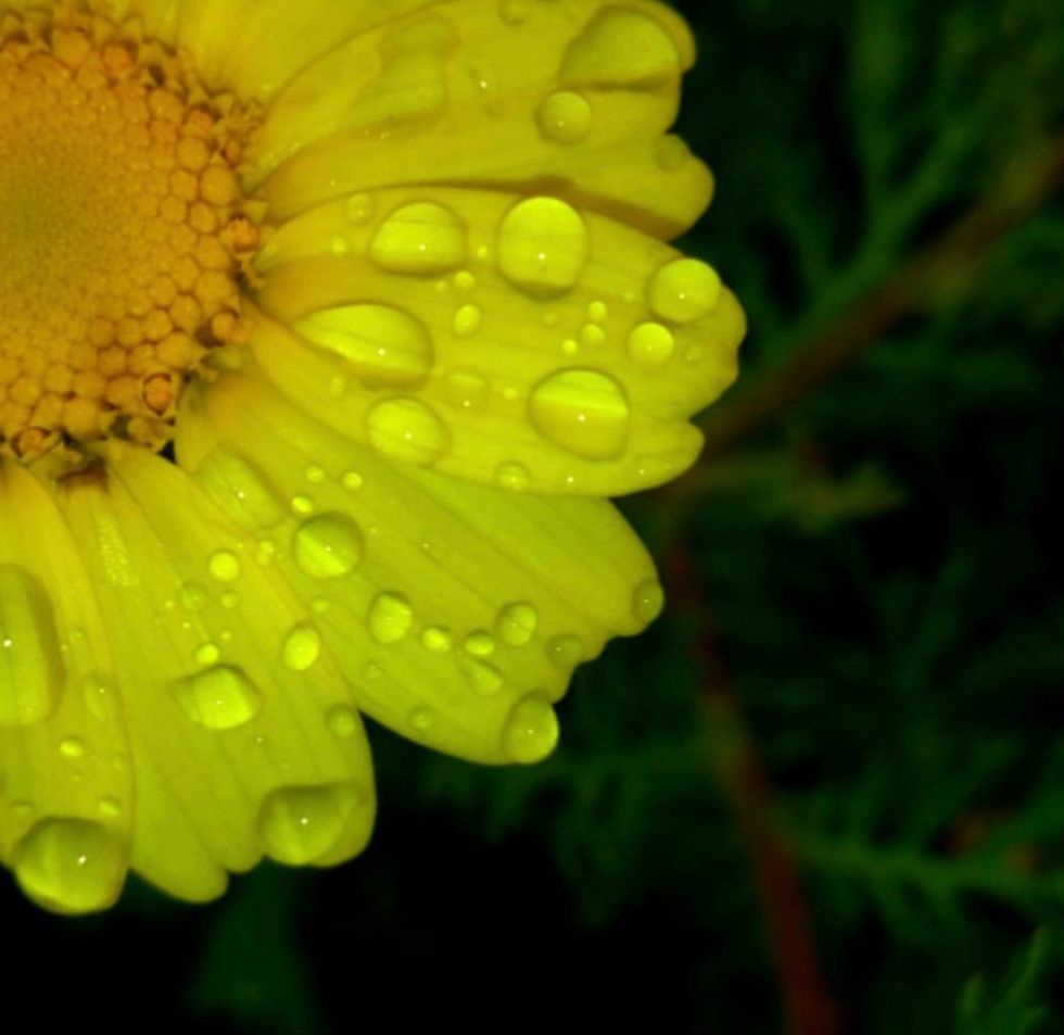 Poetry On Odyssey: One Drop At A Time