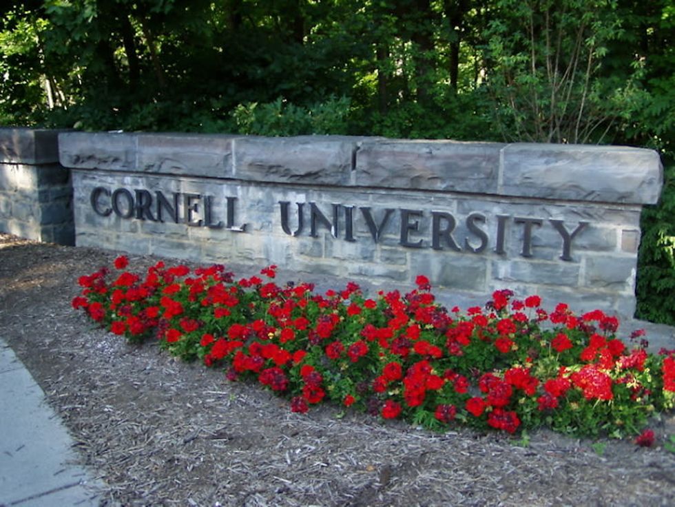 Cornell Fraternity Reprimanded For Hosting 'Pig Roast'