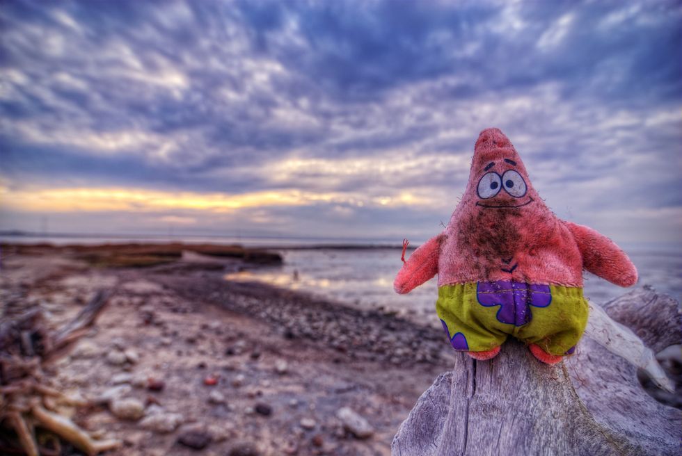 My 24 All-Time Favorite Patrick Star Quotes