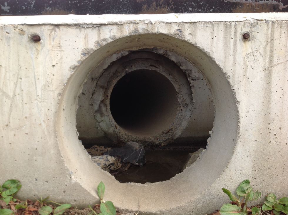 Thinking: Always exercising, never resting