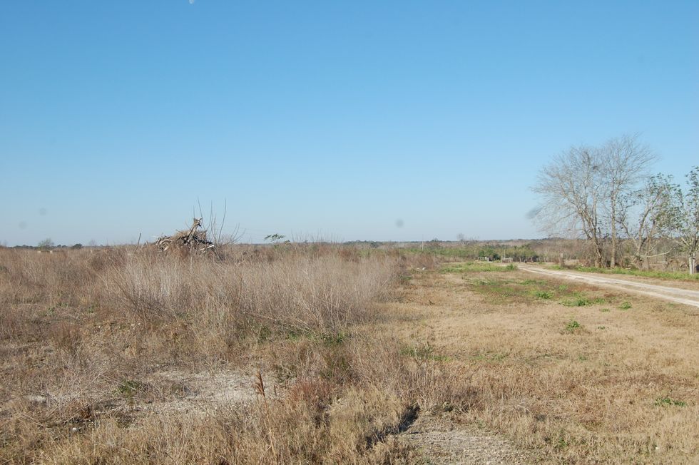 Poetry On Odyssey: My Only Weakness