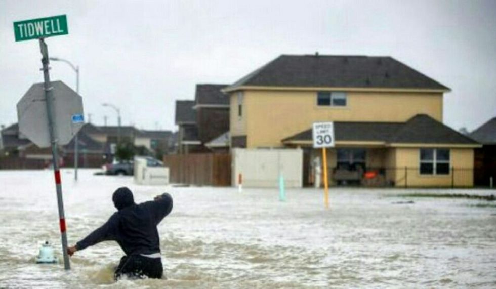 Emergency Plans Should Absolutely Include Pets And Livestock