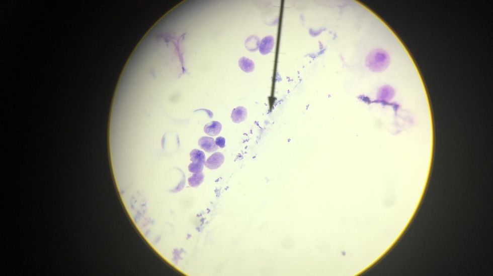 The Journey To Find Me, And How You Can Find Yourself, Too