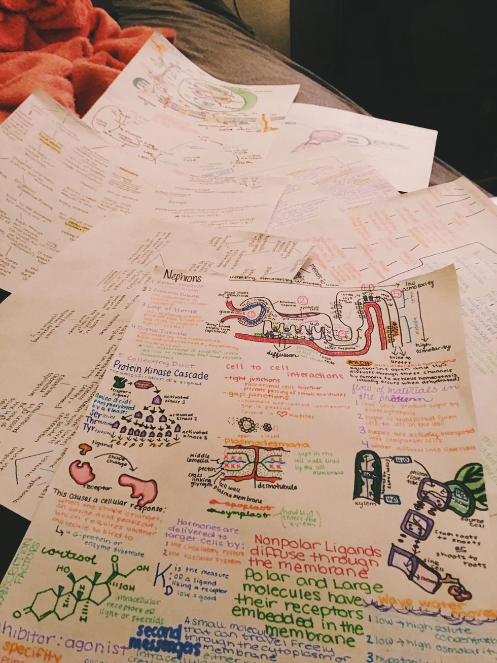 7 Steps Everyone Goes Through When They Prepare To Take An Exam