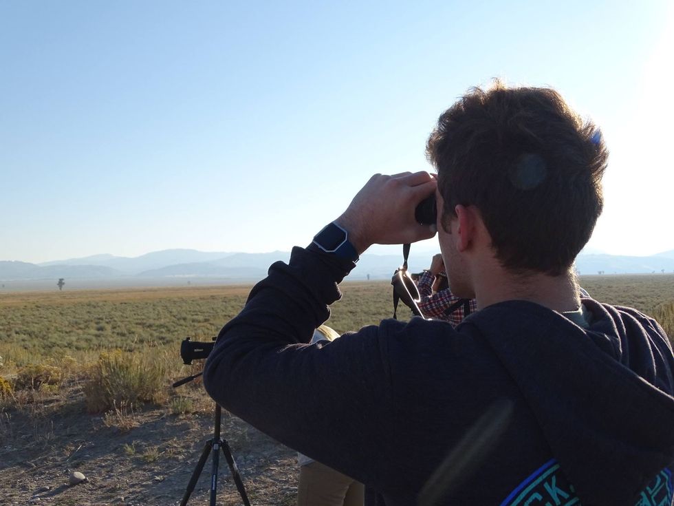 Carefully Observing Daily Everythings