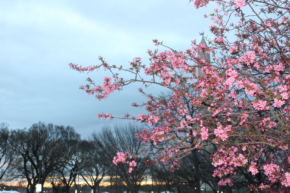 Thank You To The People Who Are Unafraid