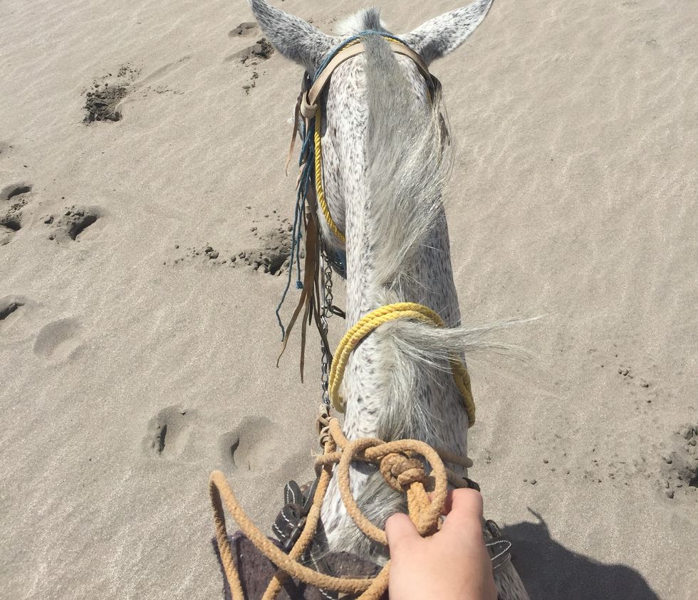 It's Time To Take A Step Back From Our Screens And Focus On What Really Matters