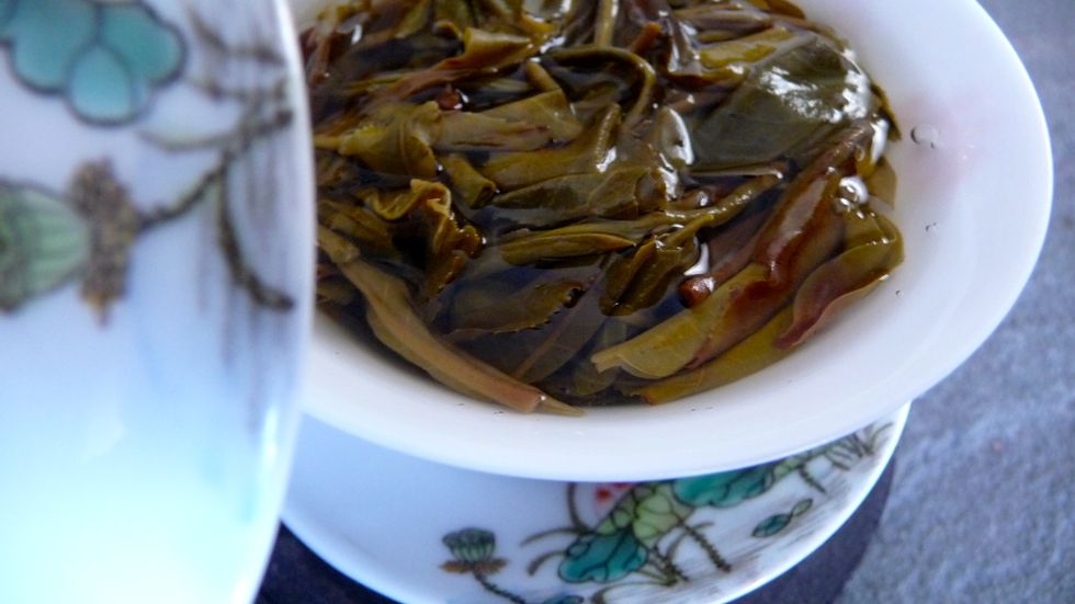 To Tea Or Not To Tea