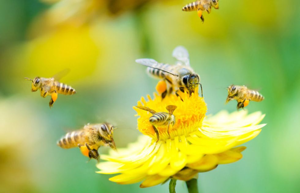 11 Reasons To Be Excited For Spring