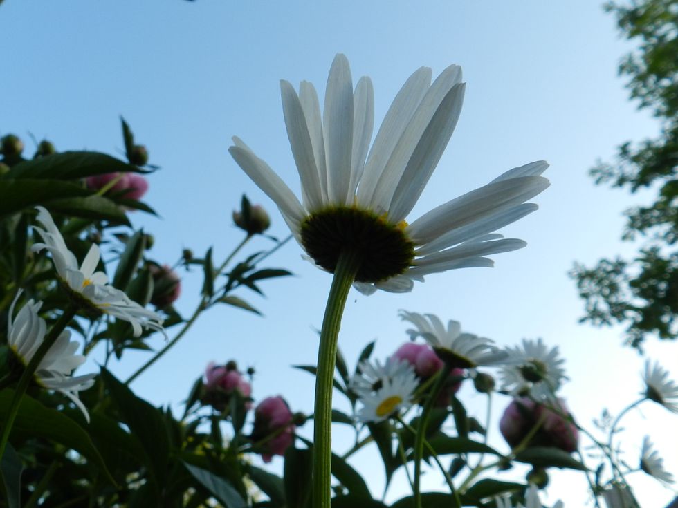 I Won't Let My Bad Habit Become My Life Again