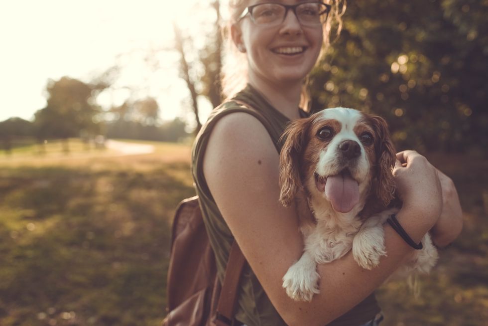 9 Steps To Properly Bond With Your New Puppy