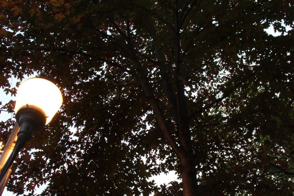 I'm Not Trying to be Rude, I'm Just an Introvert