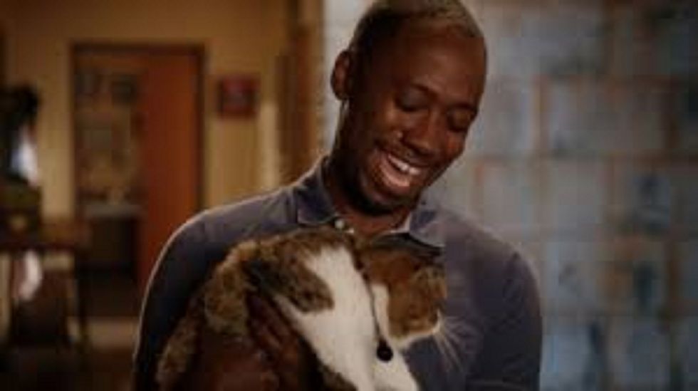 8 Times Winston And Ferguson From "New Girl" Were JUST Like You And Your Pets