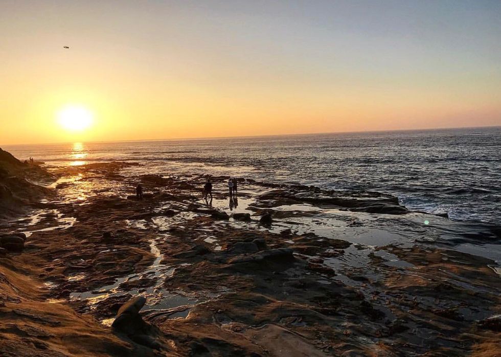 Why We Need Gun Control