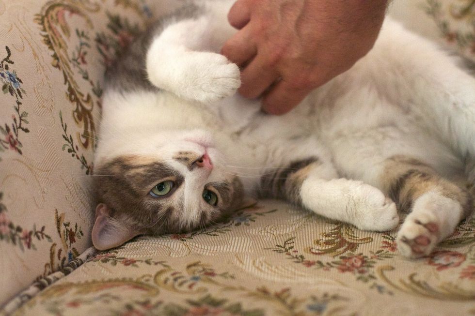 Don't F*CKING Tickle Me