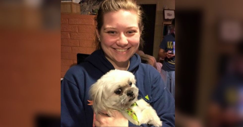 Living With An Abused Animal Made It Clear Why We Need Animal Abuse Registries In Every State