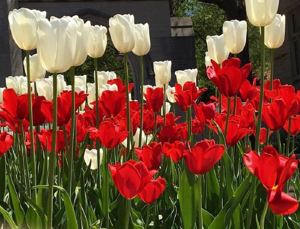 Fall Semester > Spring Semester, And It's Not Even Close