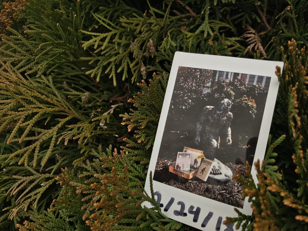 Why I Believe In Bigfoot