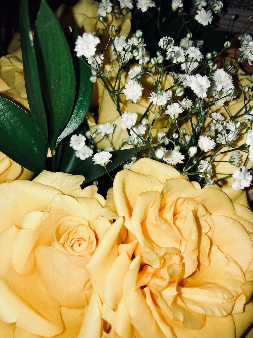 A Letter To My Younger Self