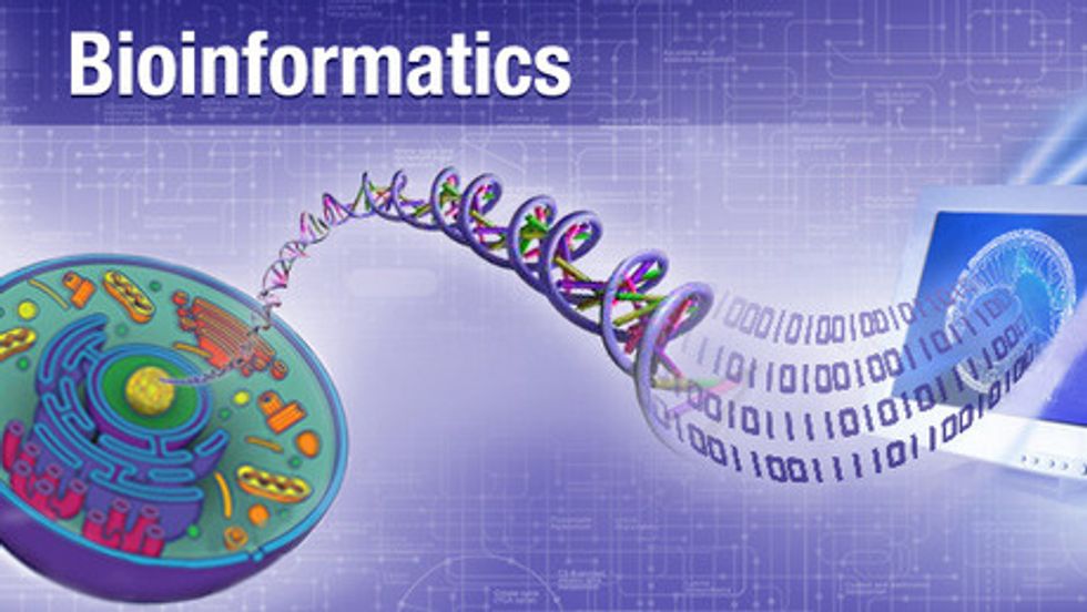 Bioinformatics Market Overview Till 2024 | Industry Size, Share and Forecast