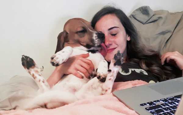 My Boyfriend Dumped Me But He Left His Dog Behind So I Win