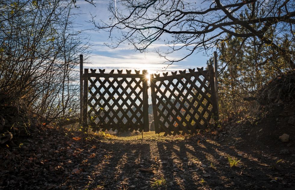The Undesirable Gate