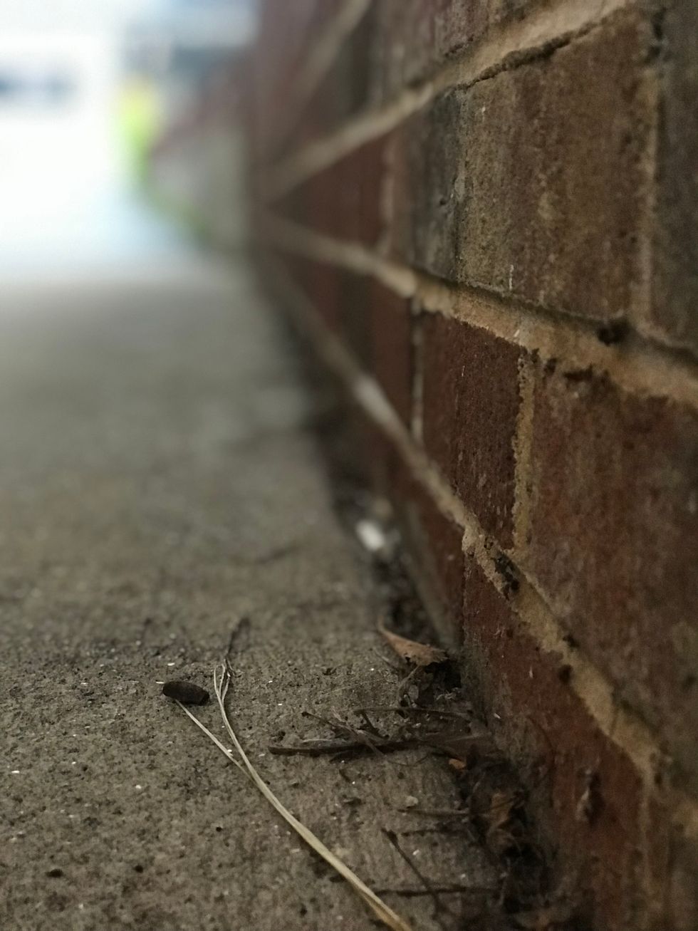 Walking And Learning