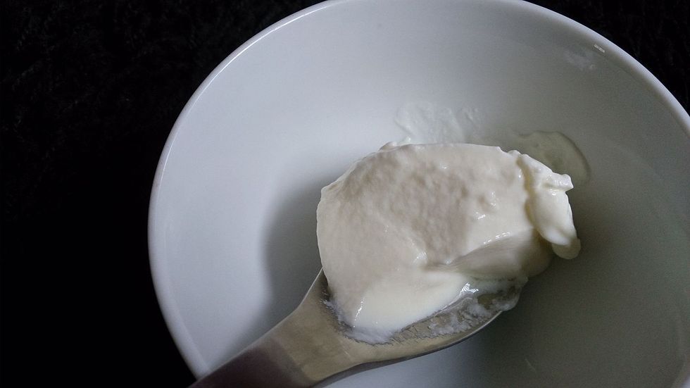 10 Greek Yogurt Recipes And Ideas