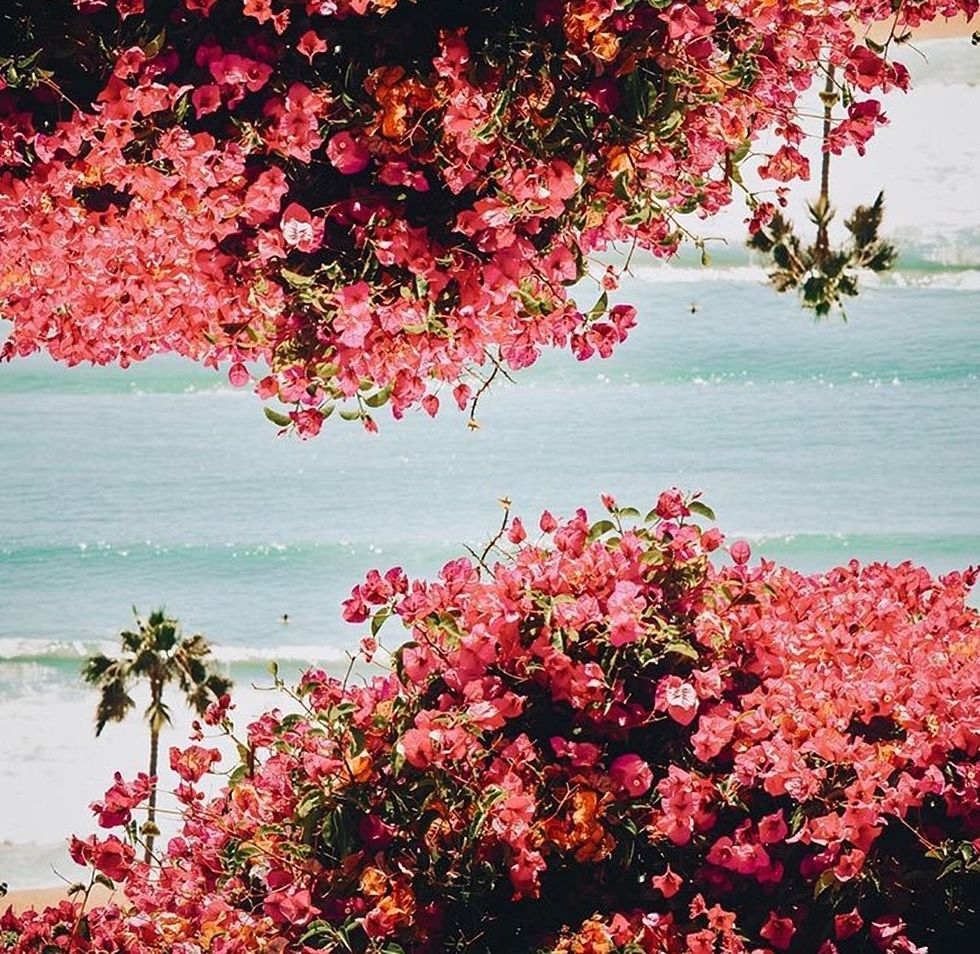 4 Places You'll Definitely See College Students This Spring Break