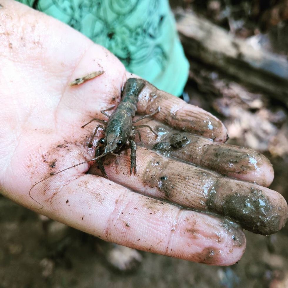 Fun Apps You Need For Your Next Outdoor Adventure