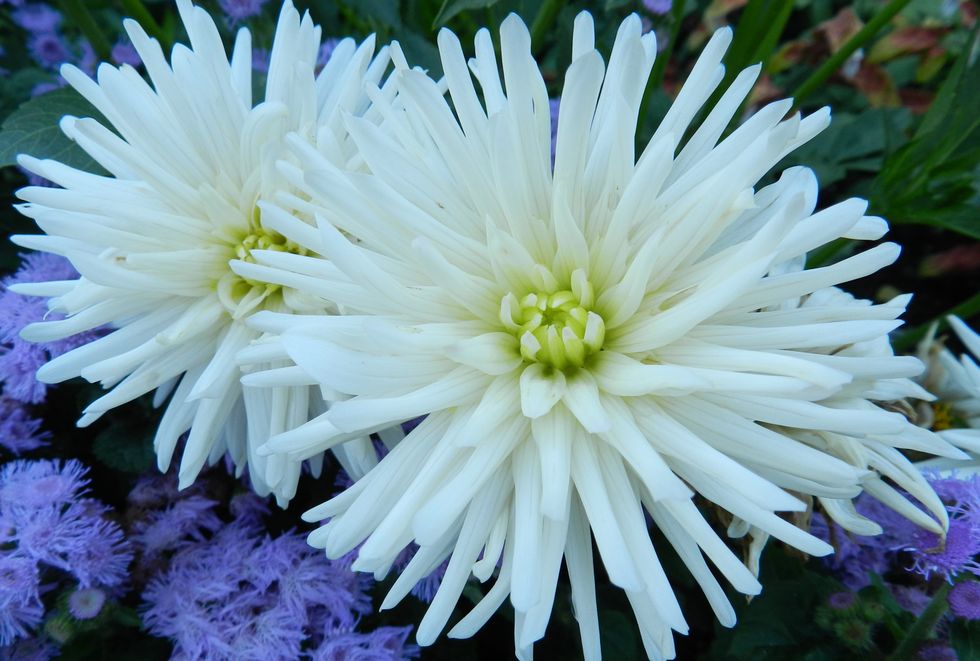 We Need To Show More Kindness