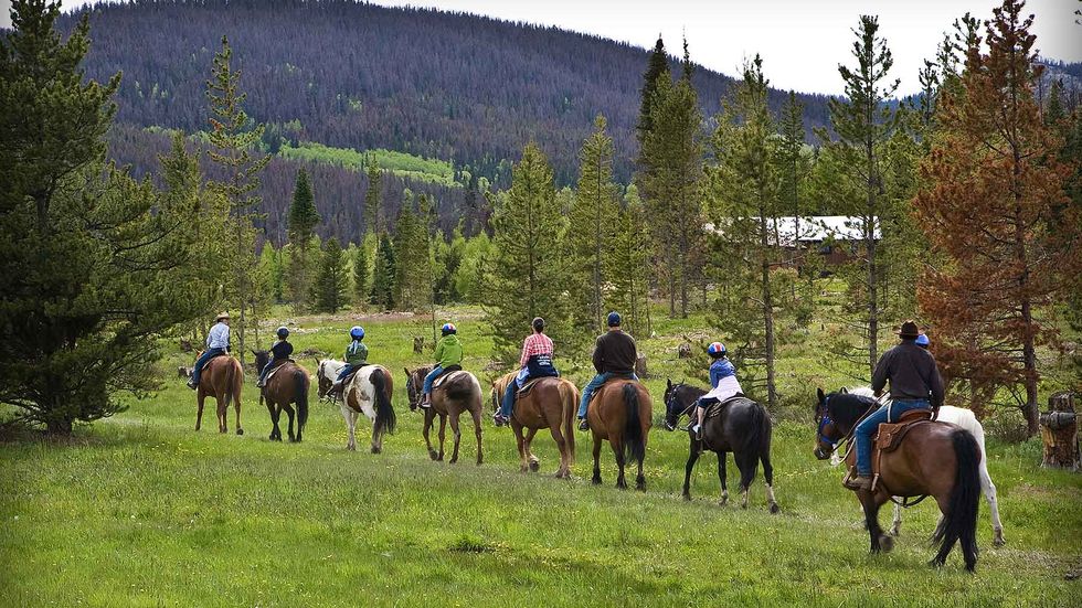 5 Places To Ride Horses In Virginia