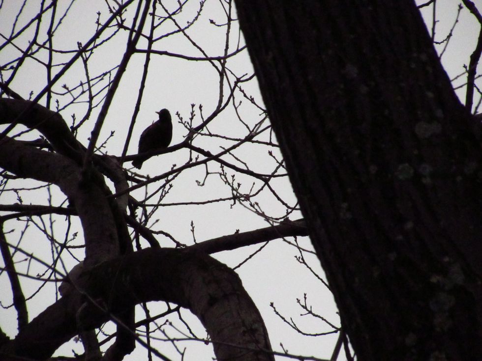 Can Cape May County Be Saved From Itself?