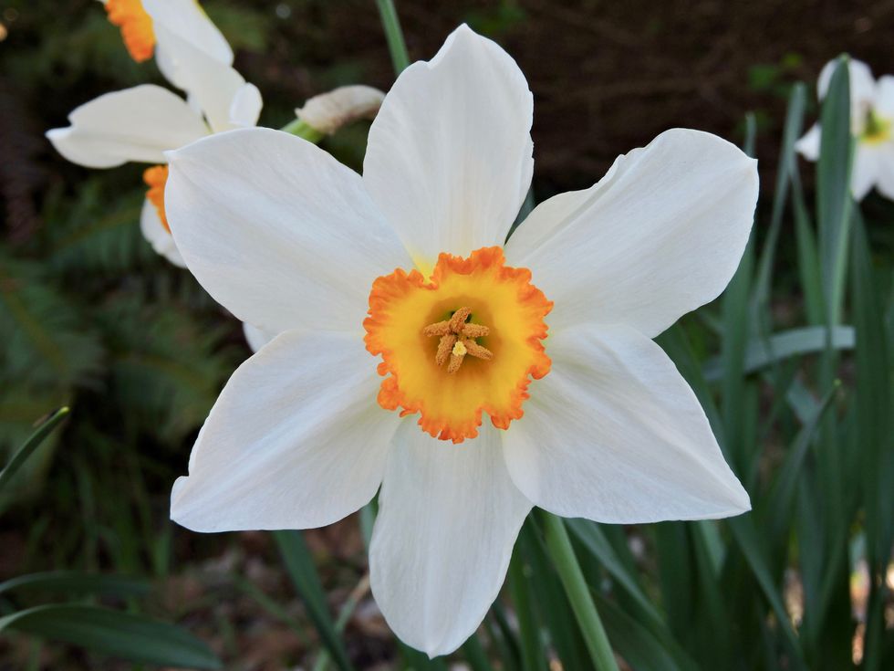 How Can You Tell When It's Spring?