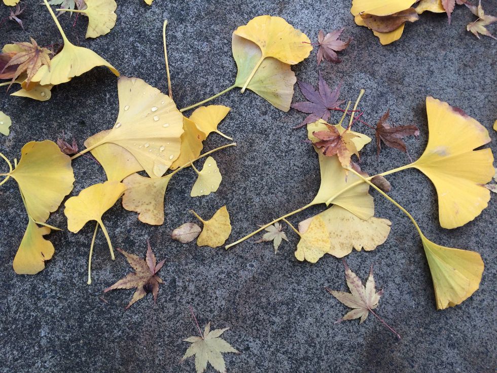 Trusting God With The Small Things