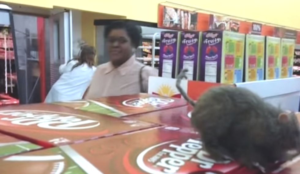 7 Compilations Of Genius 6-Second Vines To Save Your College GPA From Certain Death