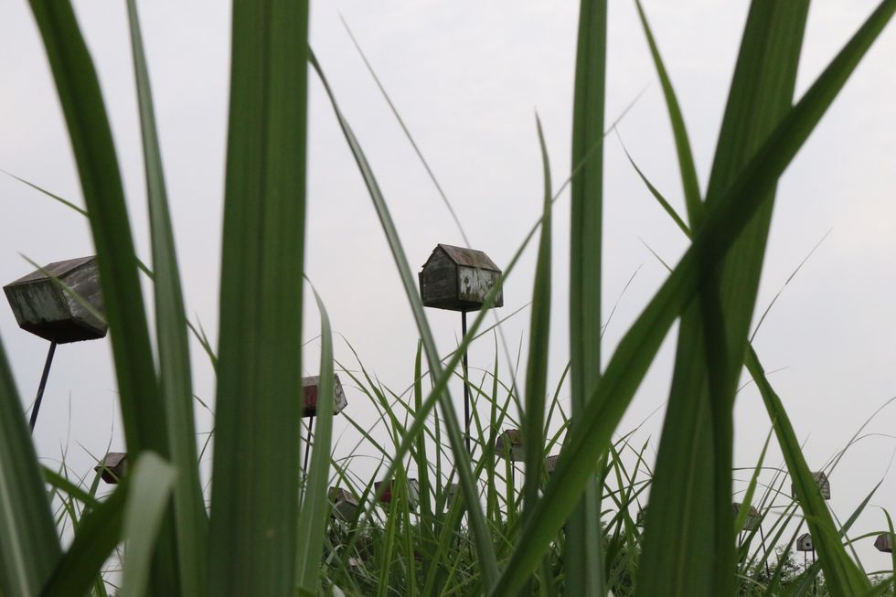 A Special Kind Of Friendship