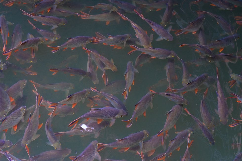 Top 10 Funniest Letters