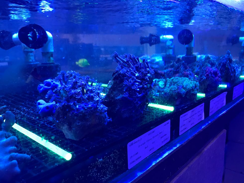 Your Sunscreen Is Destroying The Planet