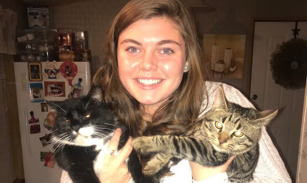 I'm Just A Cat Person Living In A World Of Dog People