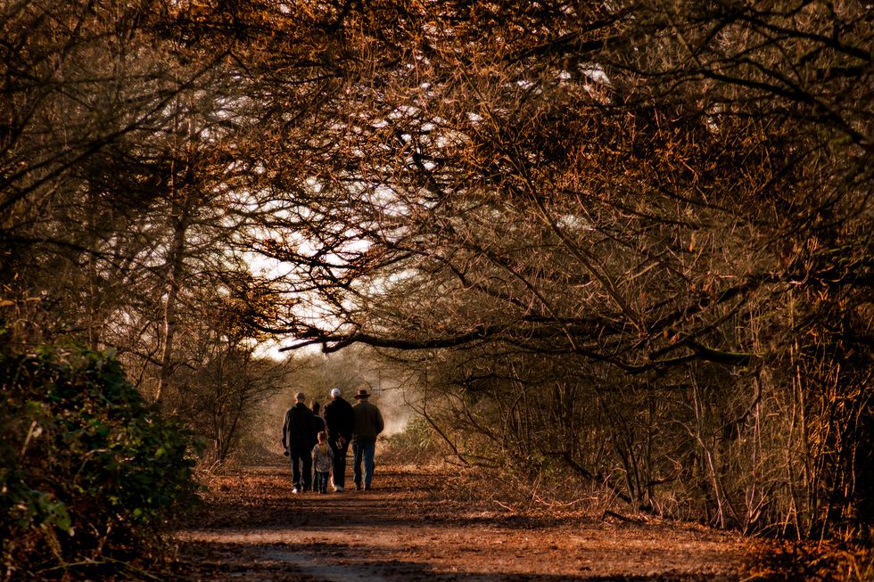 Blaming Everyone But Ourselves